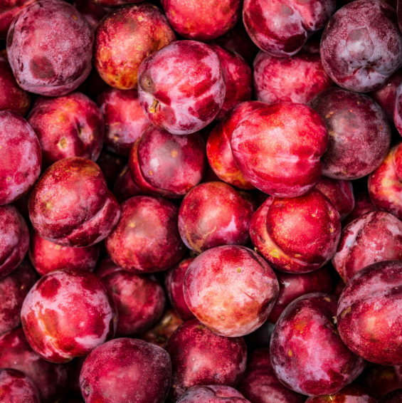 Montón de ciruelas rojas maduras con una ligera capa polvorienta.