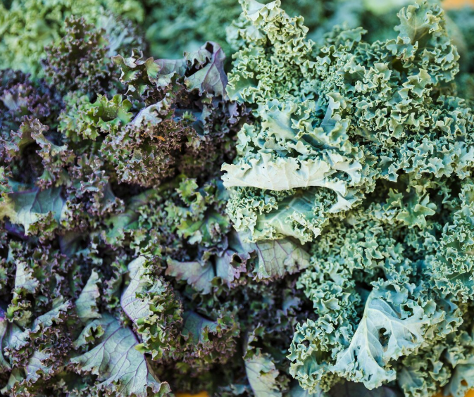 Primer plano de hojas de col rizada verdes y moradas, texturizadas y rizadas, probablemente en un mercado.