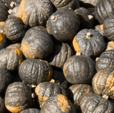 Pila de calabazas de color verde azulado con envés de color amarillo anaranjado, probablemente en venta.