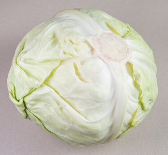Una cabeza de repollo verde pálido sobre un fondo neutro.