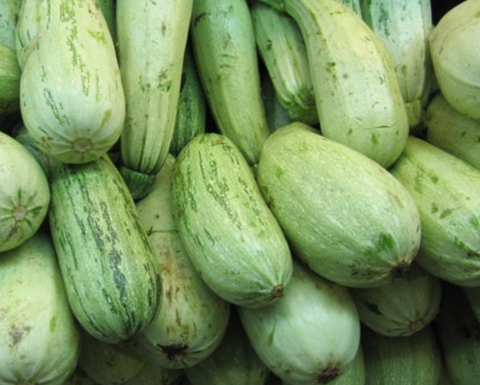 Pila de calabazas oblongas de color verde claro con rayas y manchas de color verde más oscuro.
