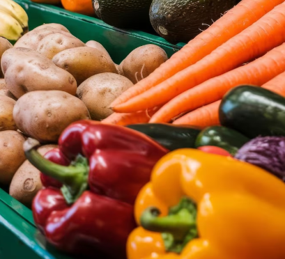 Exhibición de productos frescos: patatas, zanahorias, pimientos morrones (rojos y amarillos), calabacines y repollo.