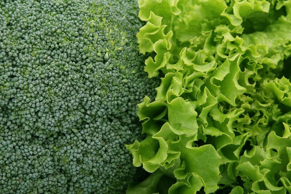 Verdure congelate