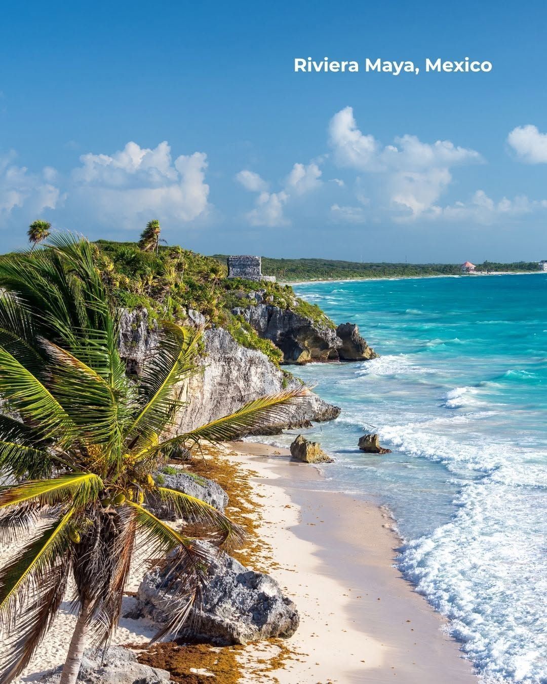 Turquoise waves on a rocky tropical beach, with palm trees and cliffs in Riviera Maya, Mexico