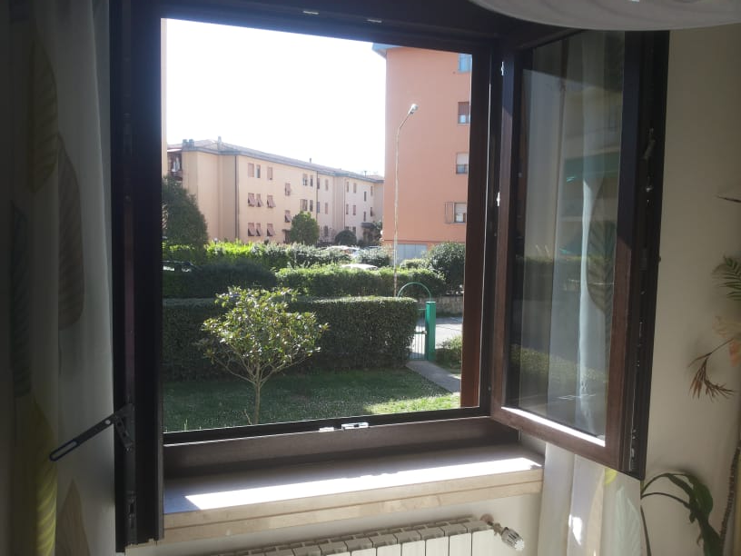 Finestra aperta che si affaccia su un cortile con alberi ed edifici sullo sfondo. Giornata di sole.