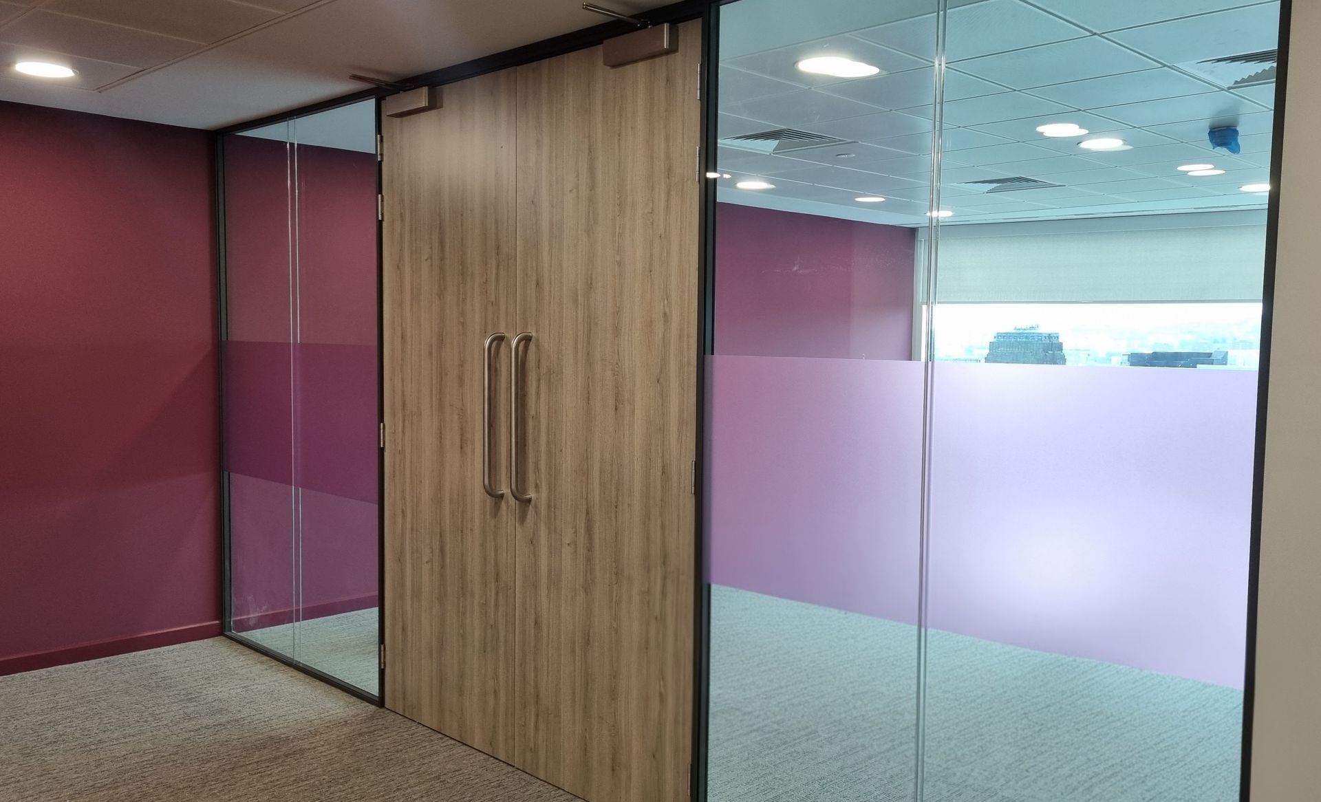 Double-Glazed Office Glass Partition with Timber Doors in Newcastle