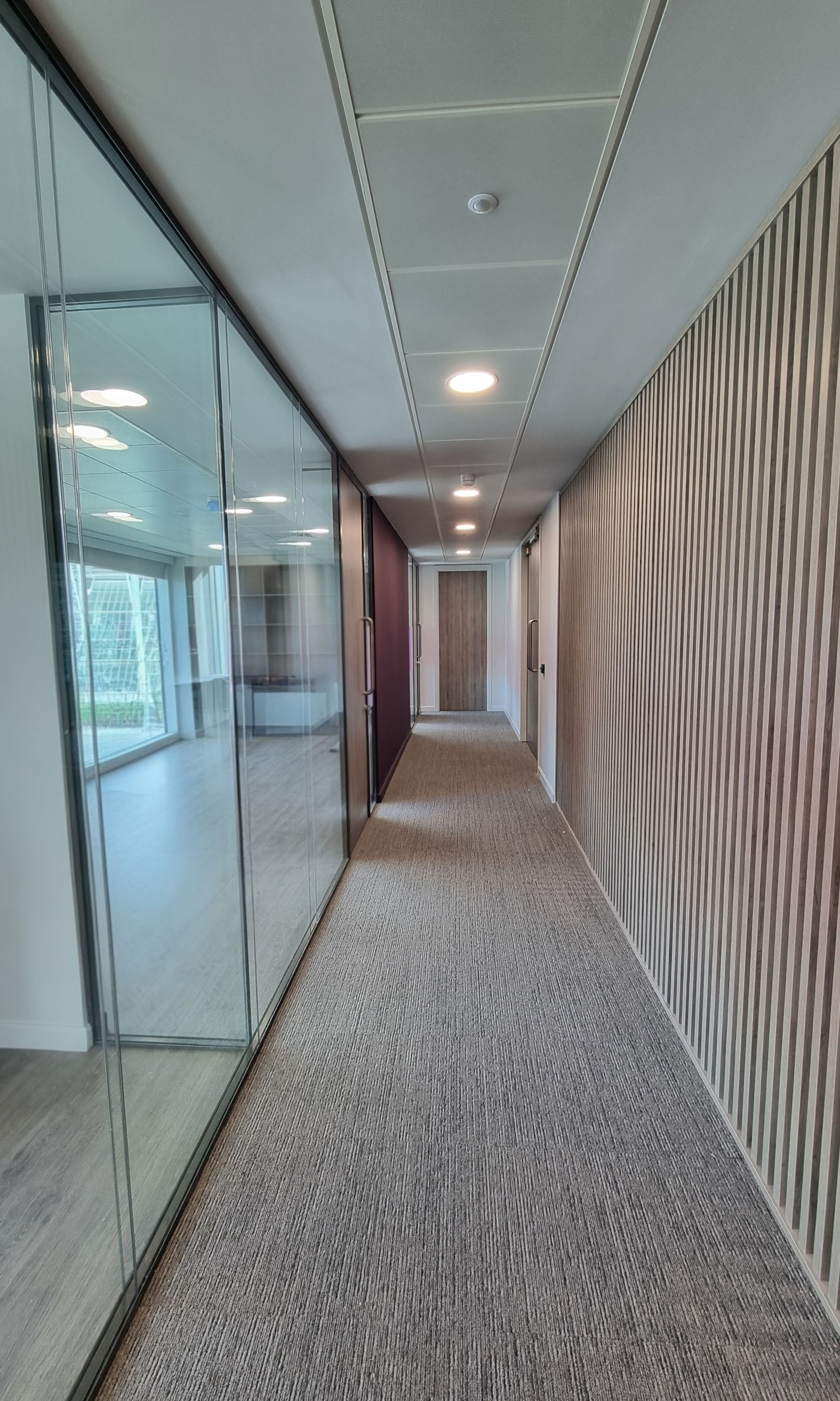 Double Glazed Glass Partitions & Timber Doors | Commercial Office