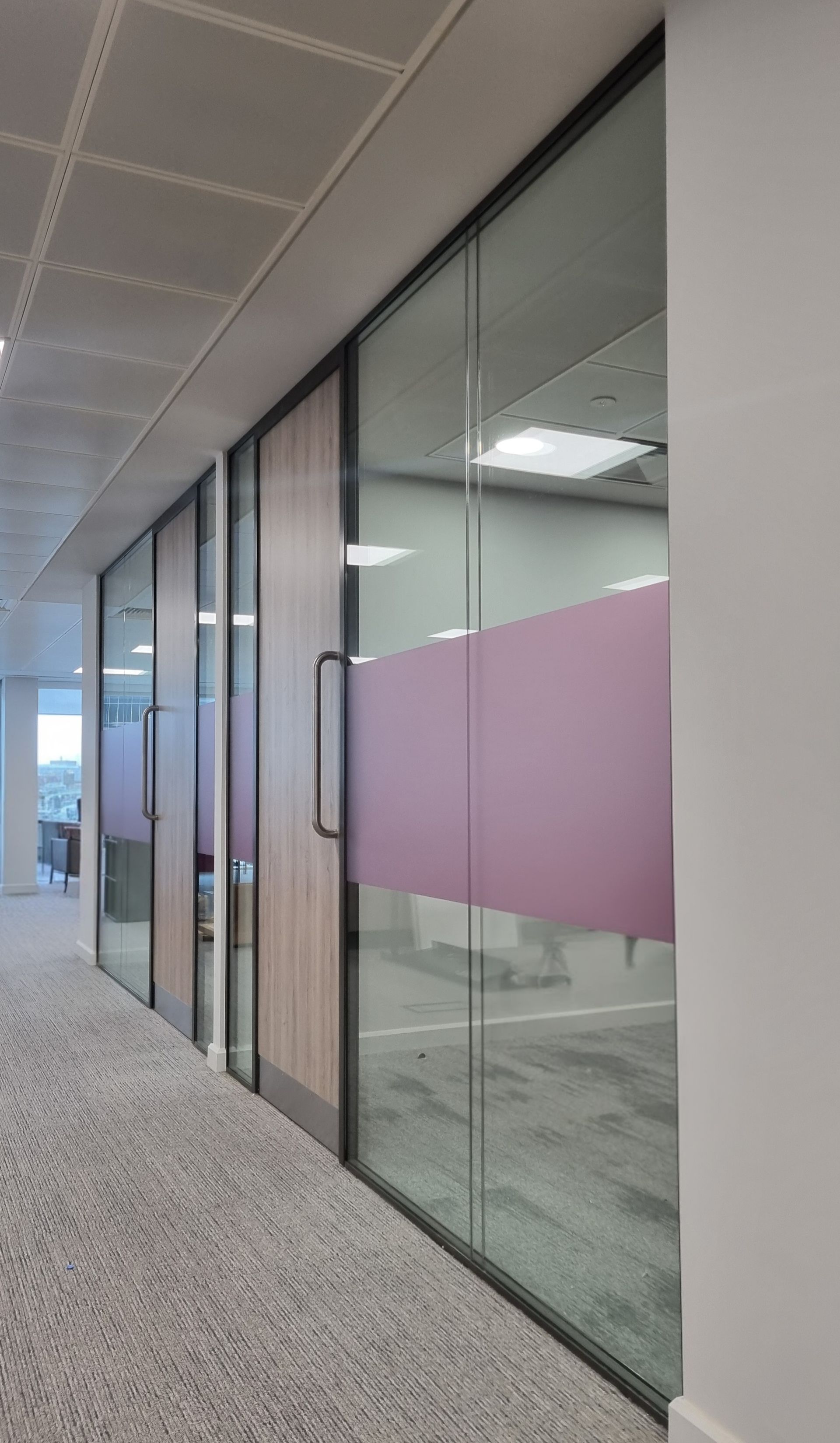 Double-Glazed Office Glass Partition with Timber Doors in Newcastle