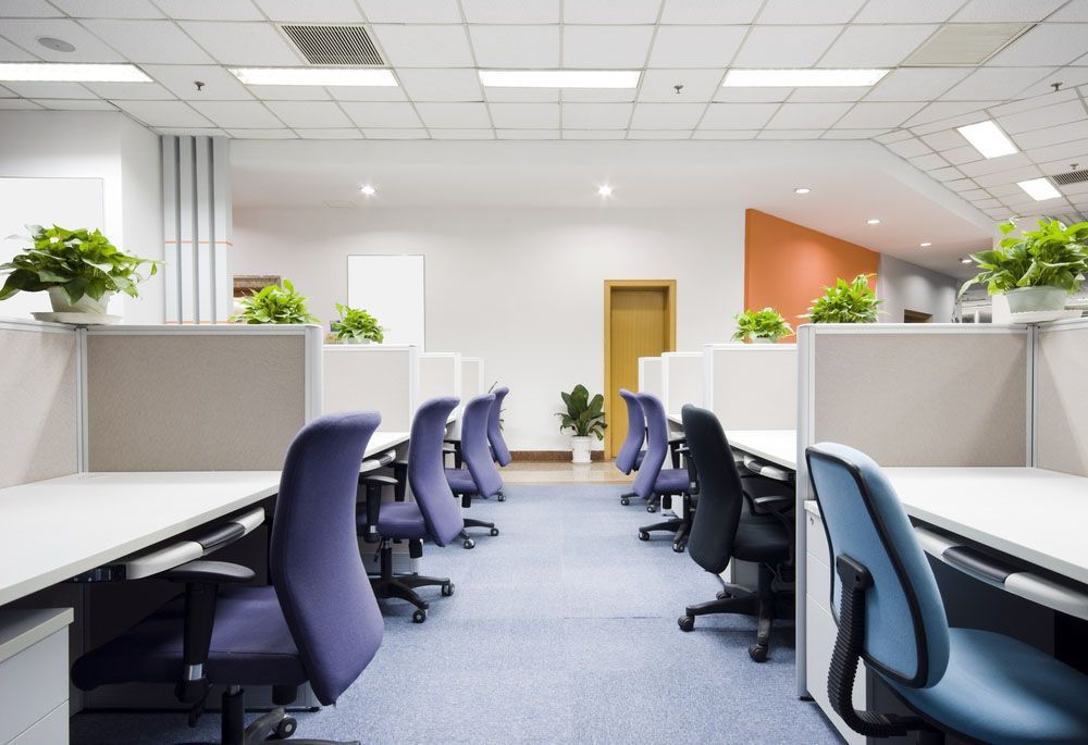 Office Row with Purple Chairs and Cubicles — NBM Constructions