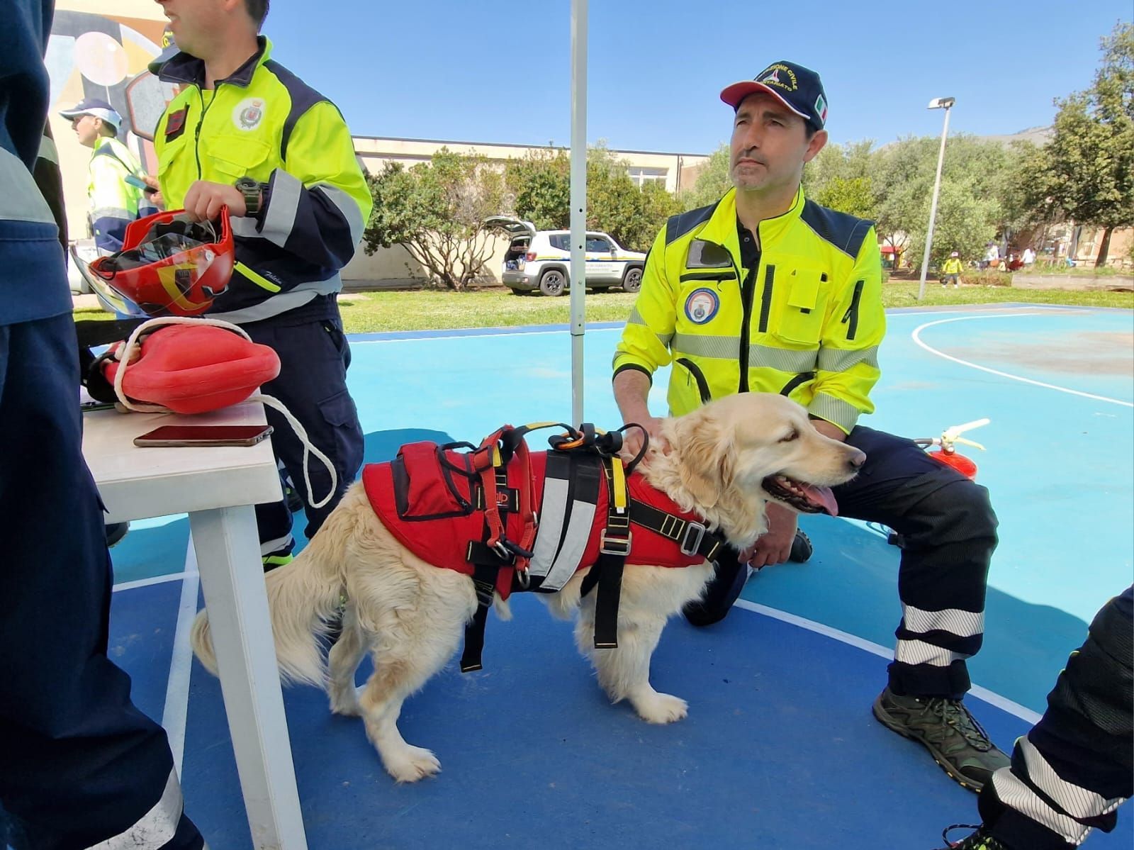 PROBLEMI COMPORTAMENTALI