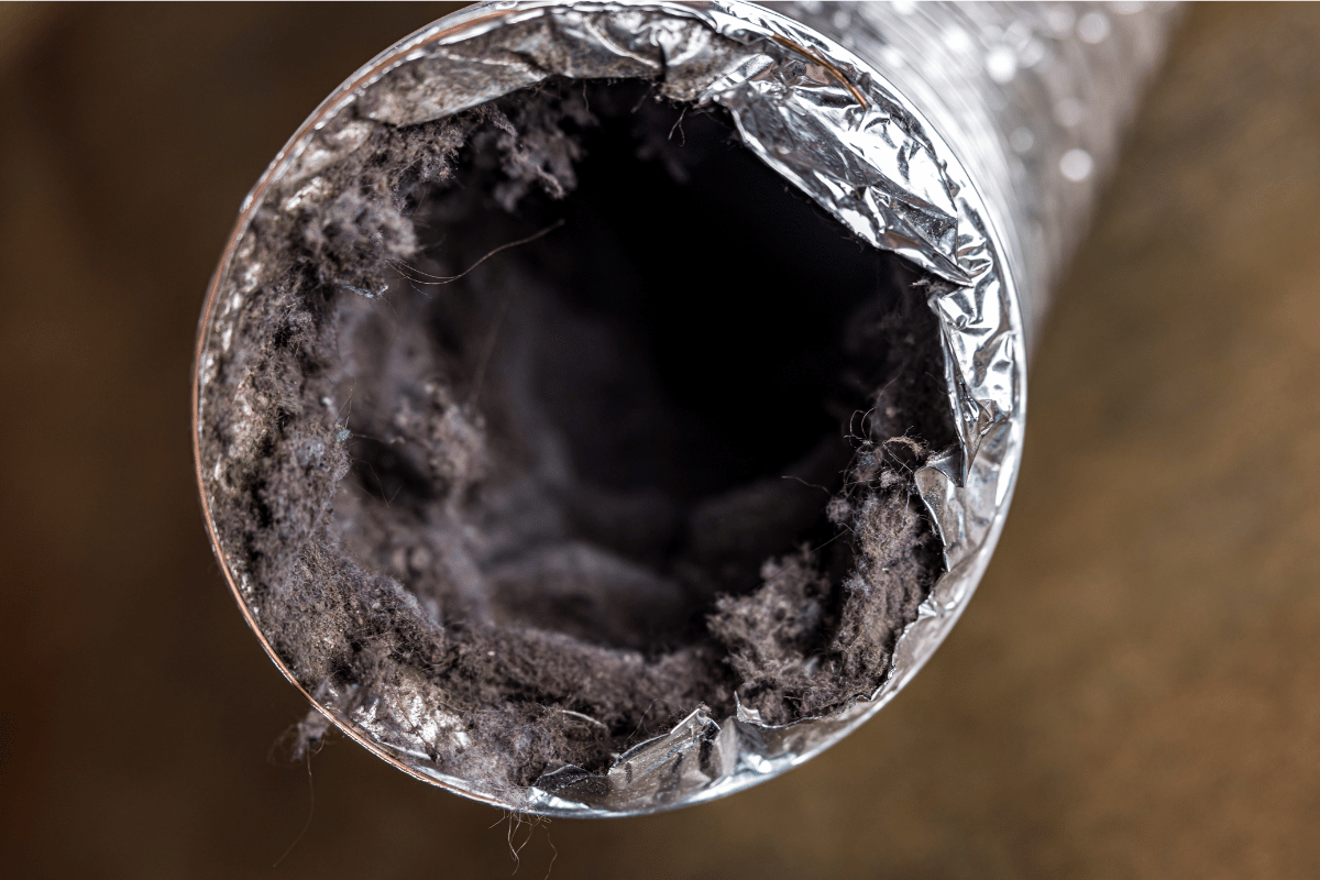 Close-up of a dirty dryer vent filled with lint and debris.