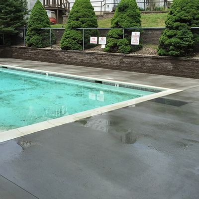 A large swimming pool is surrounded by trees and a fence.