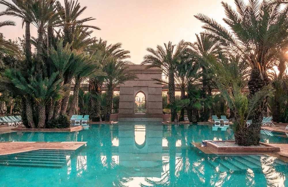 Backyard oasis design