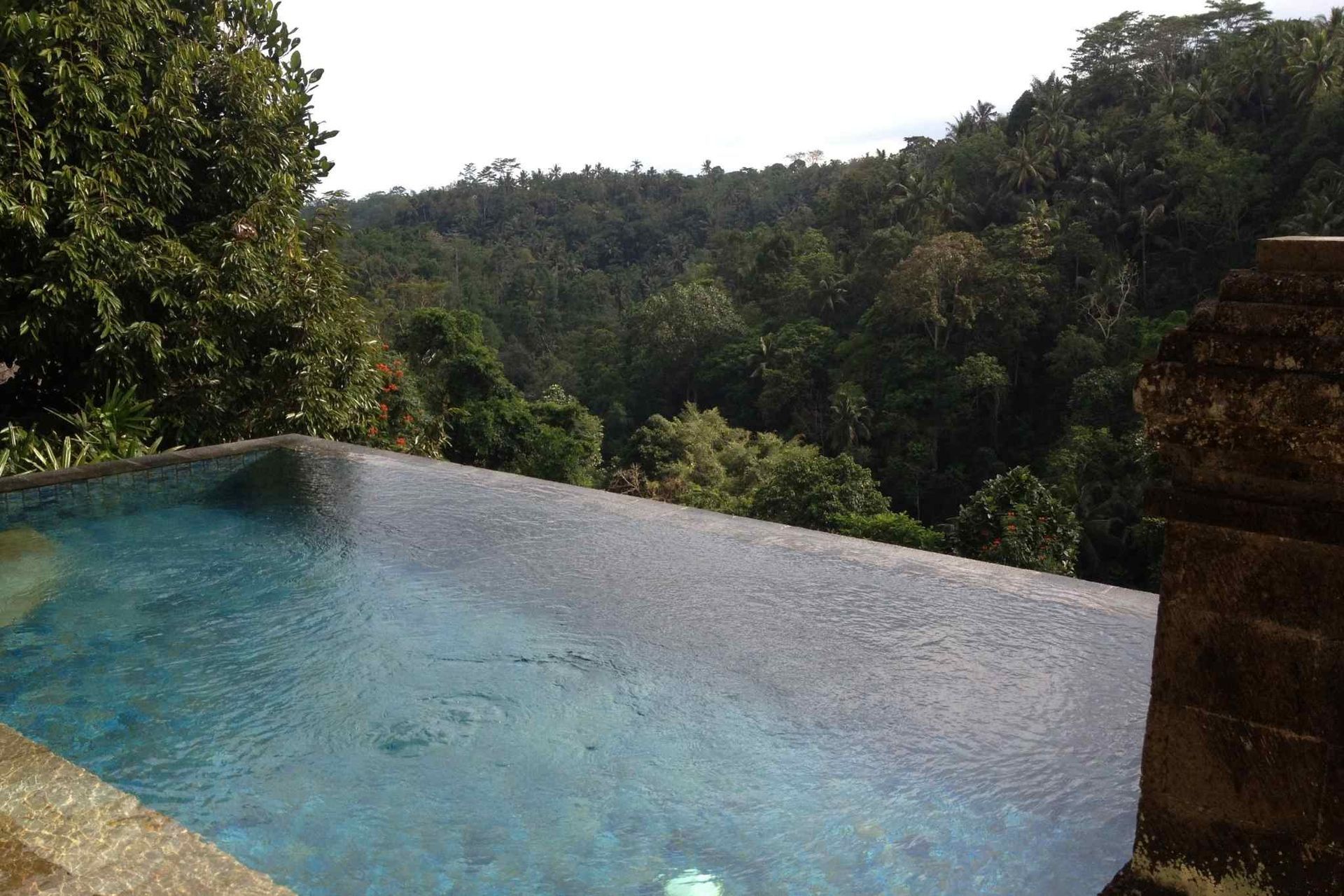 Infinity pool overlooking lush green jungle.