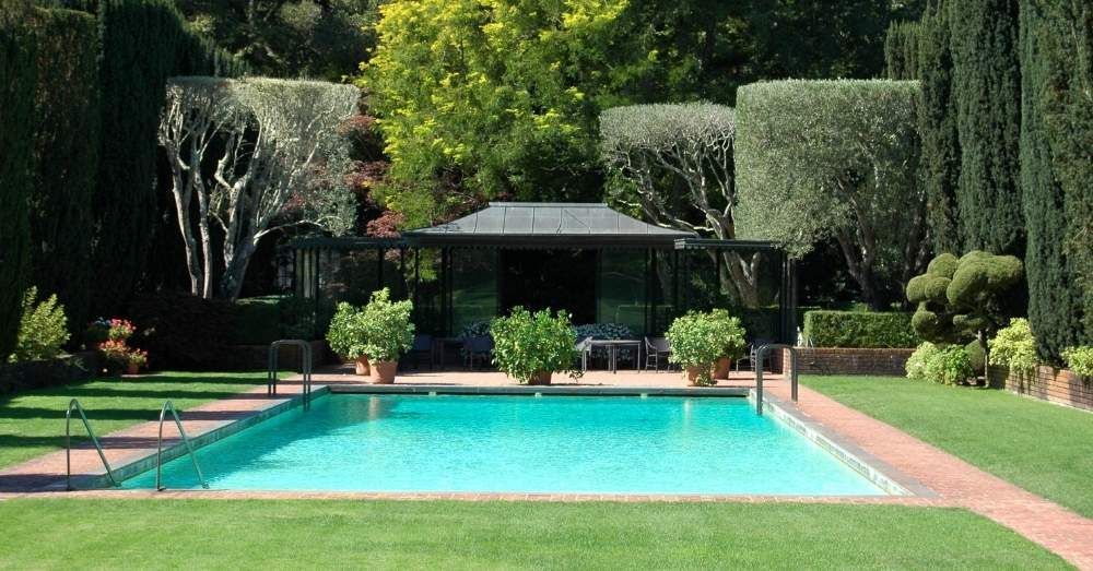 Backyard pool oasis