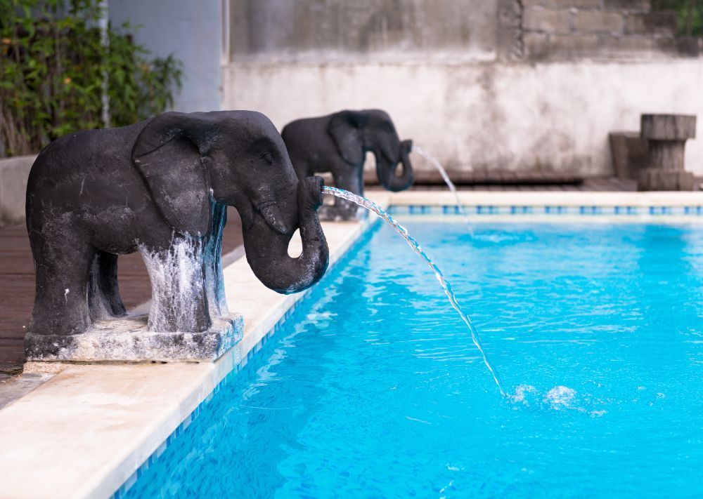 Two statues of elephants are spraying water into a swimming pool.