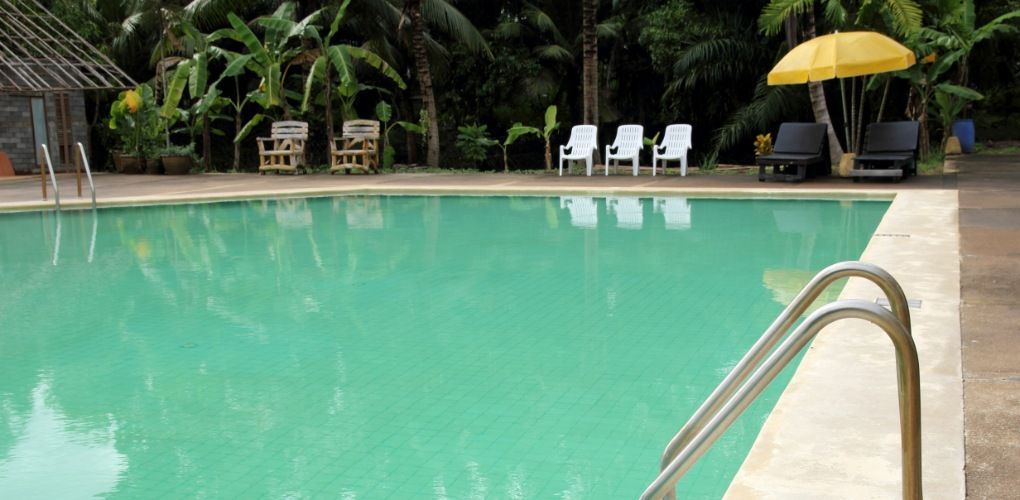 Swimming pool with a green water