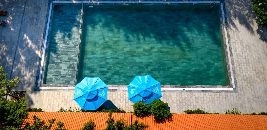 swimming pool with green water
