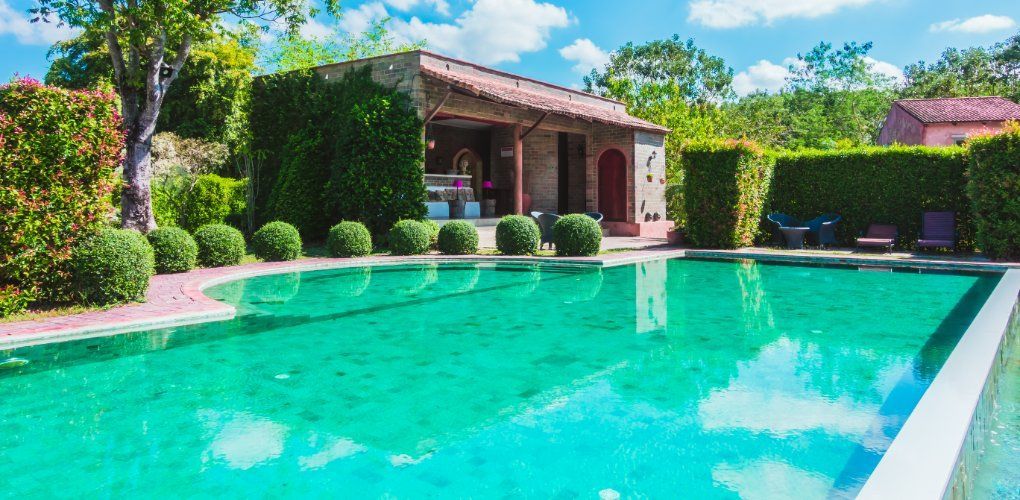 Backyard swimming pool with green water