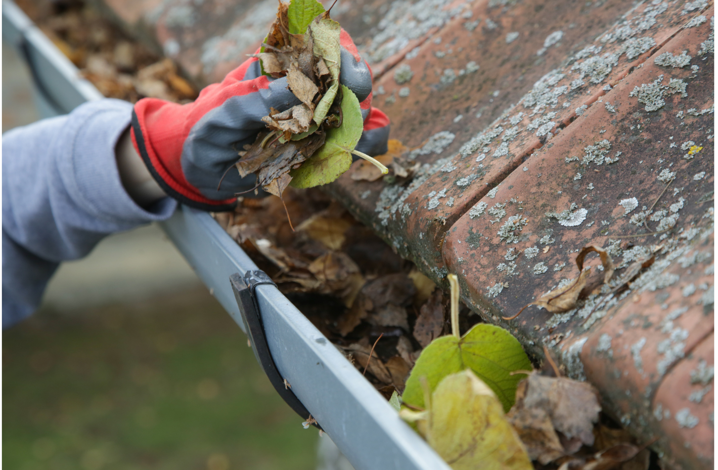 A person is cleaning a gutter of leaves from a roof.