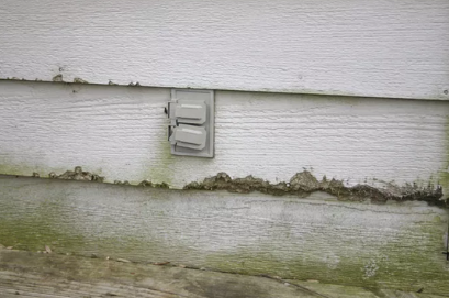 A white house with rotting wood siding and an electrical outlet on the side of it.