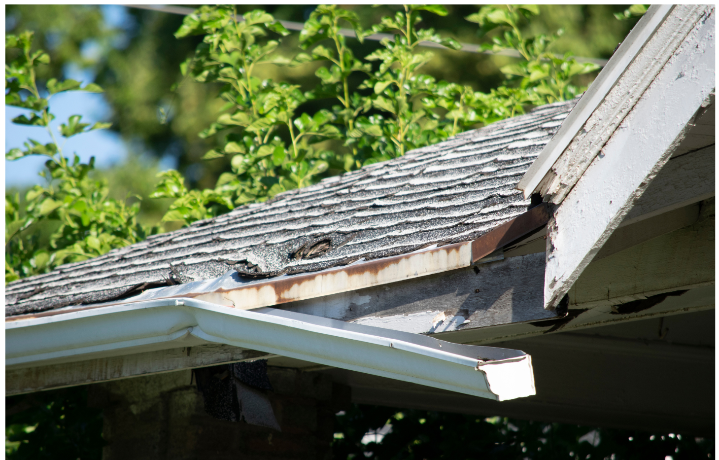 A roof with a gutter that is missing and a tree in the background.