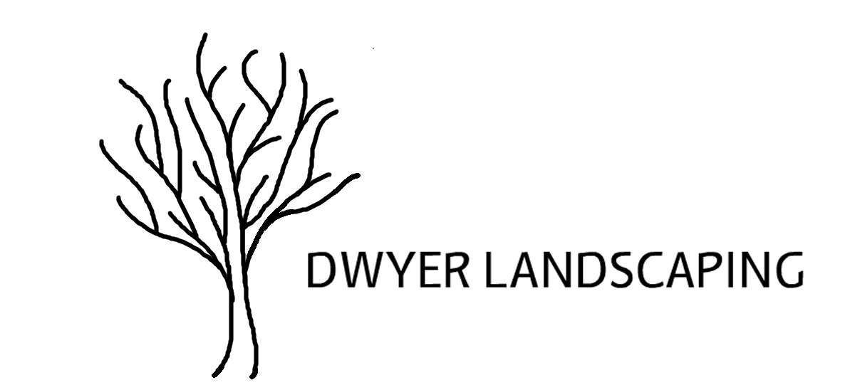a black and white logo for dwyer landscaping with a tree and branches .