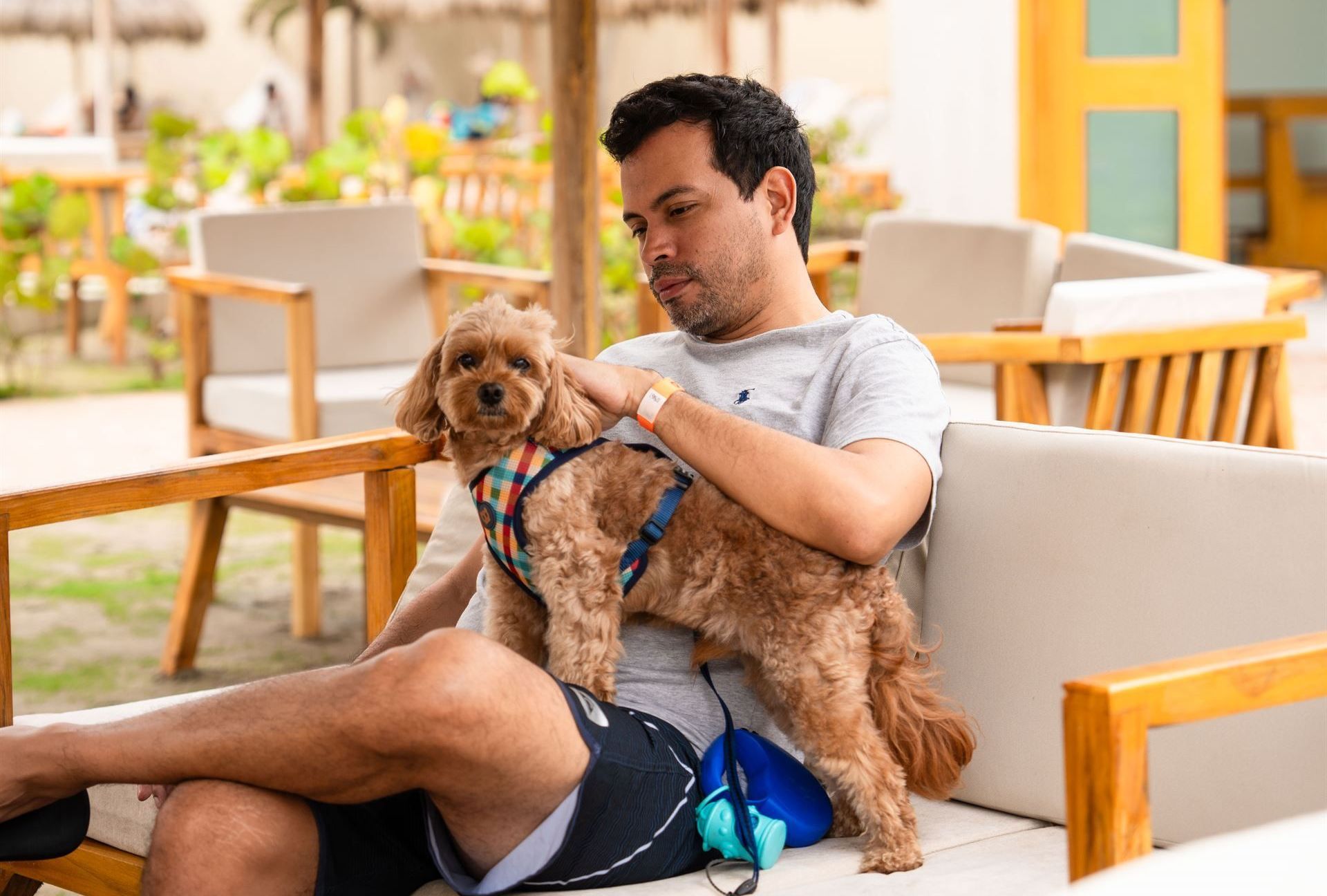 Un hombre está sentado en un sofá sosteniendo un perro pequeño.