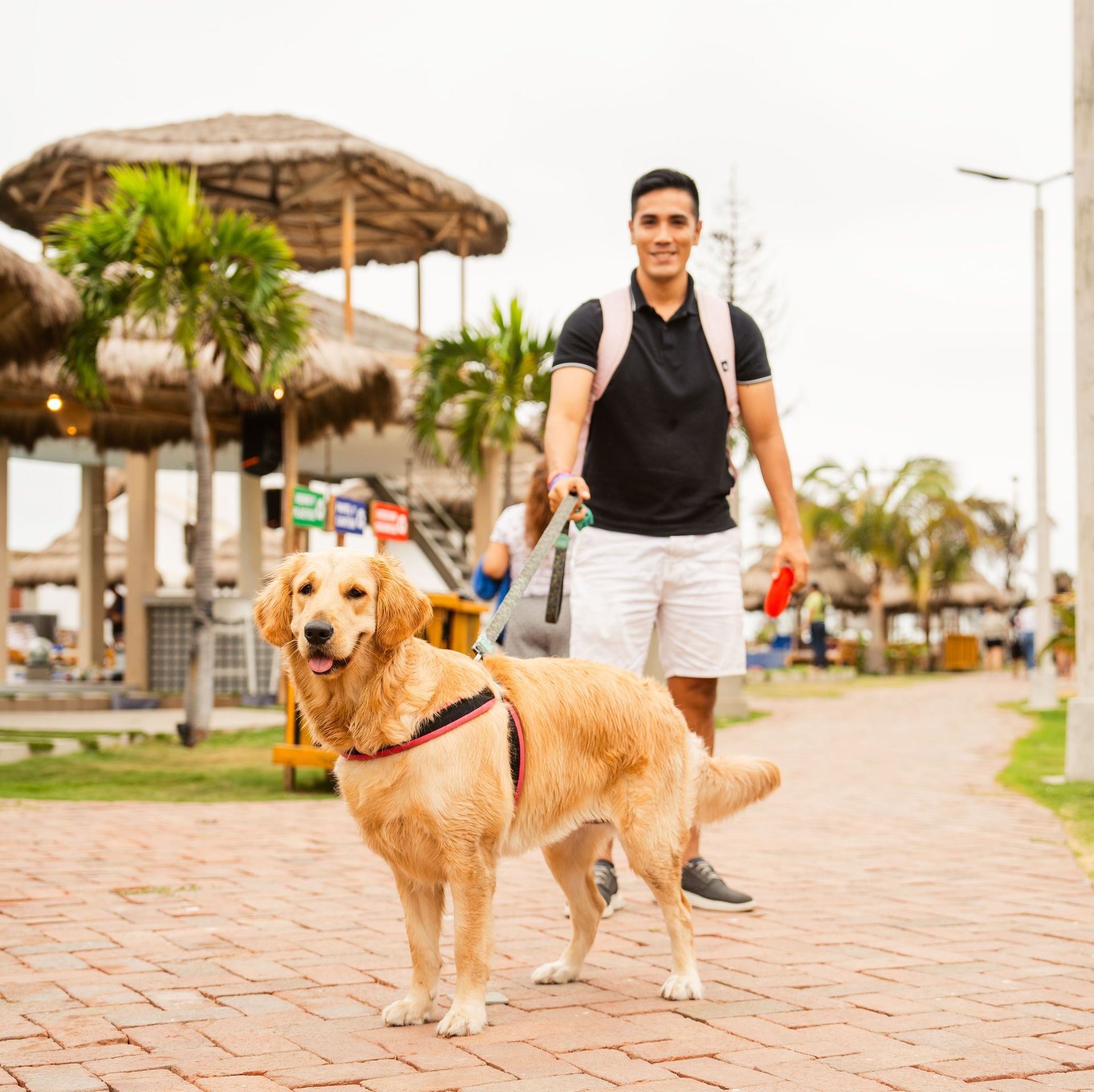 Un hombre pasea a un perro con correa sobre una acera de ladrillos.