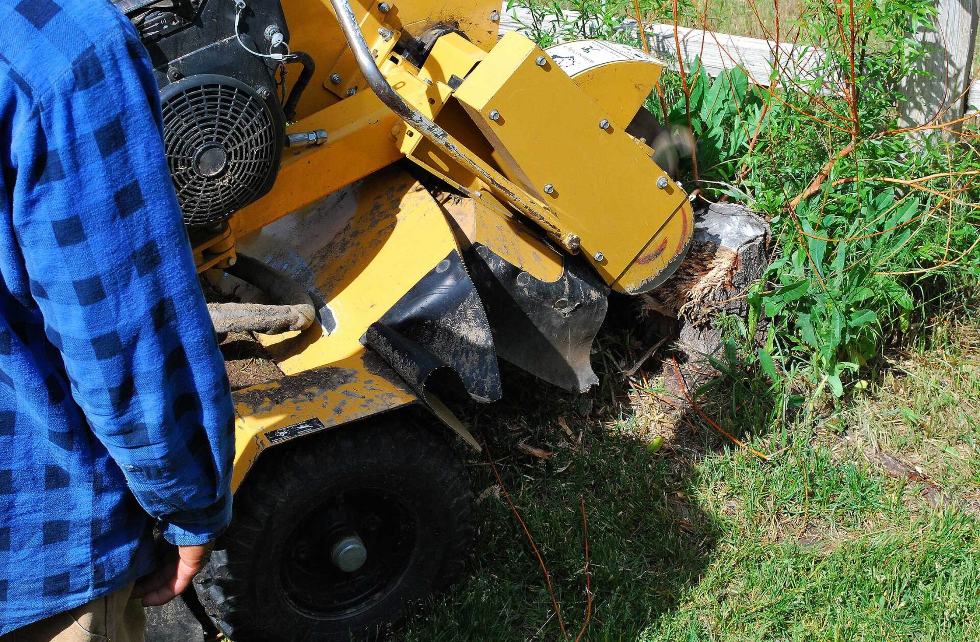 The Stump Grinding Process