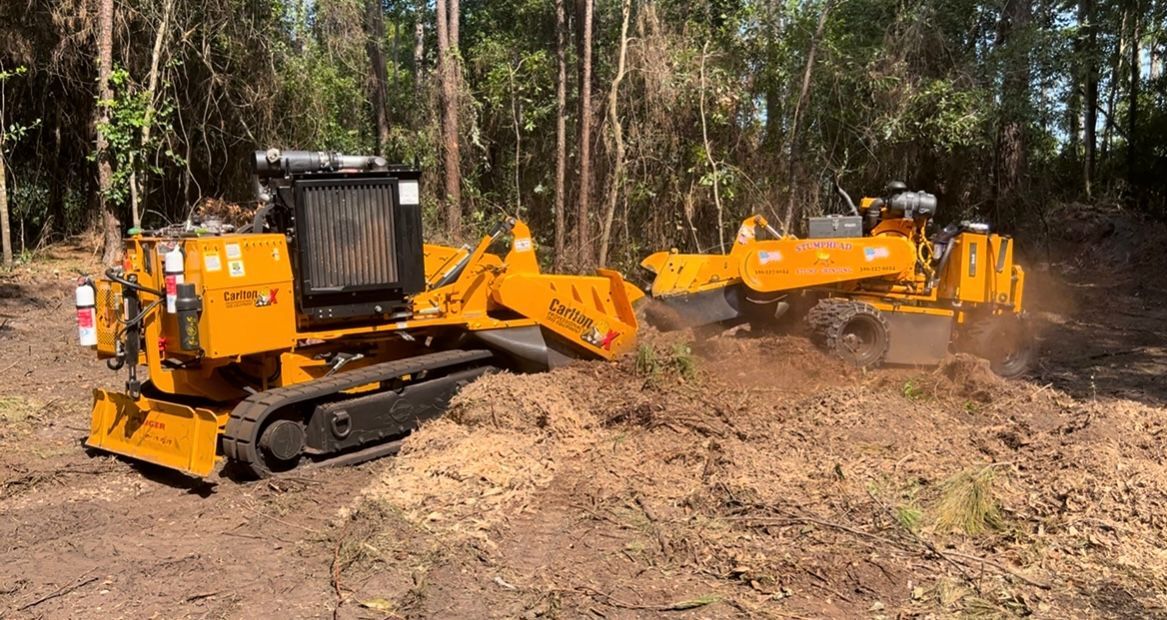 Two yellow stump grinders are working in the woods.