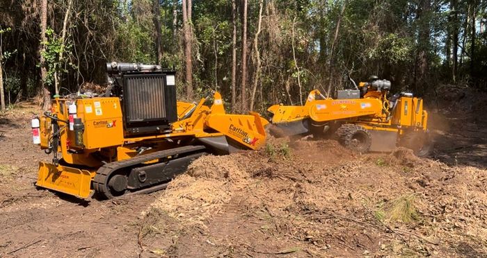 Two yellow stump grinders are working in the woods.