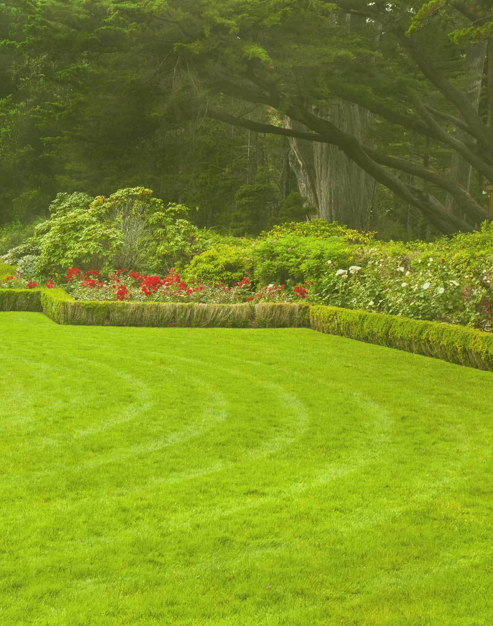 lawn mowing services in backyard