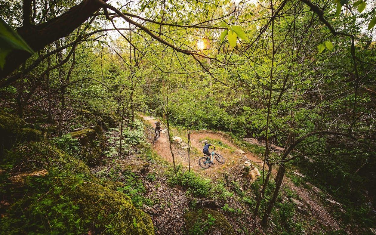 A couple of people are riding bikes down a trail in the woods.