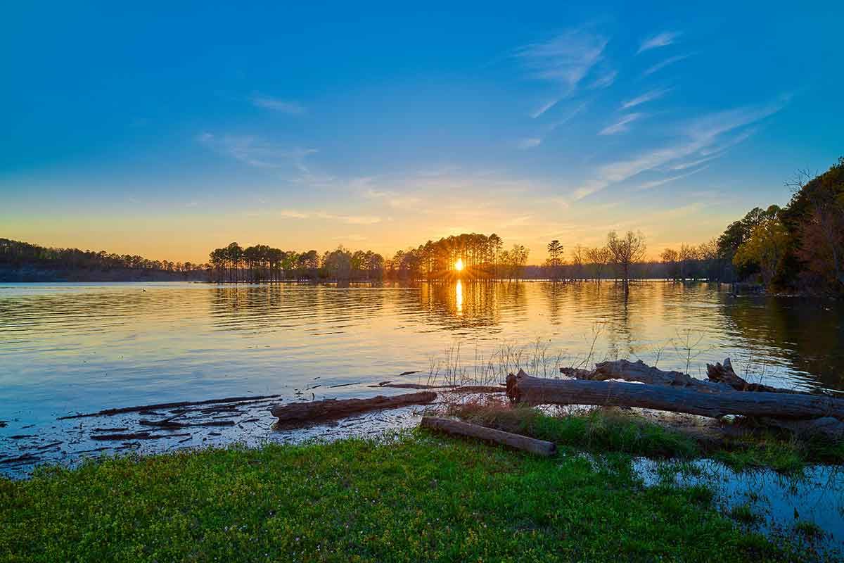 The sun is setting over a lake with logs in the water.