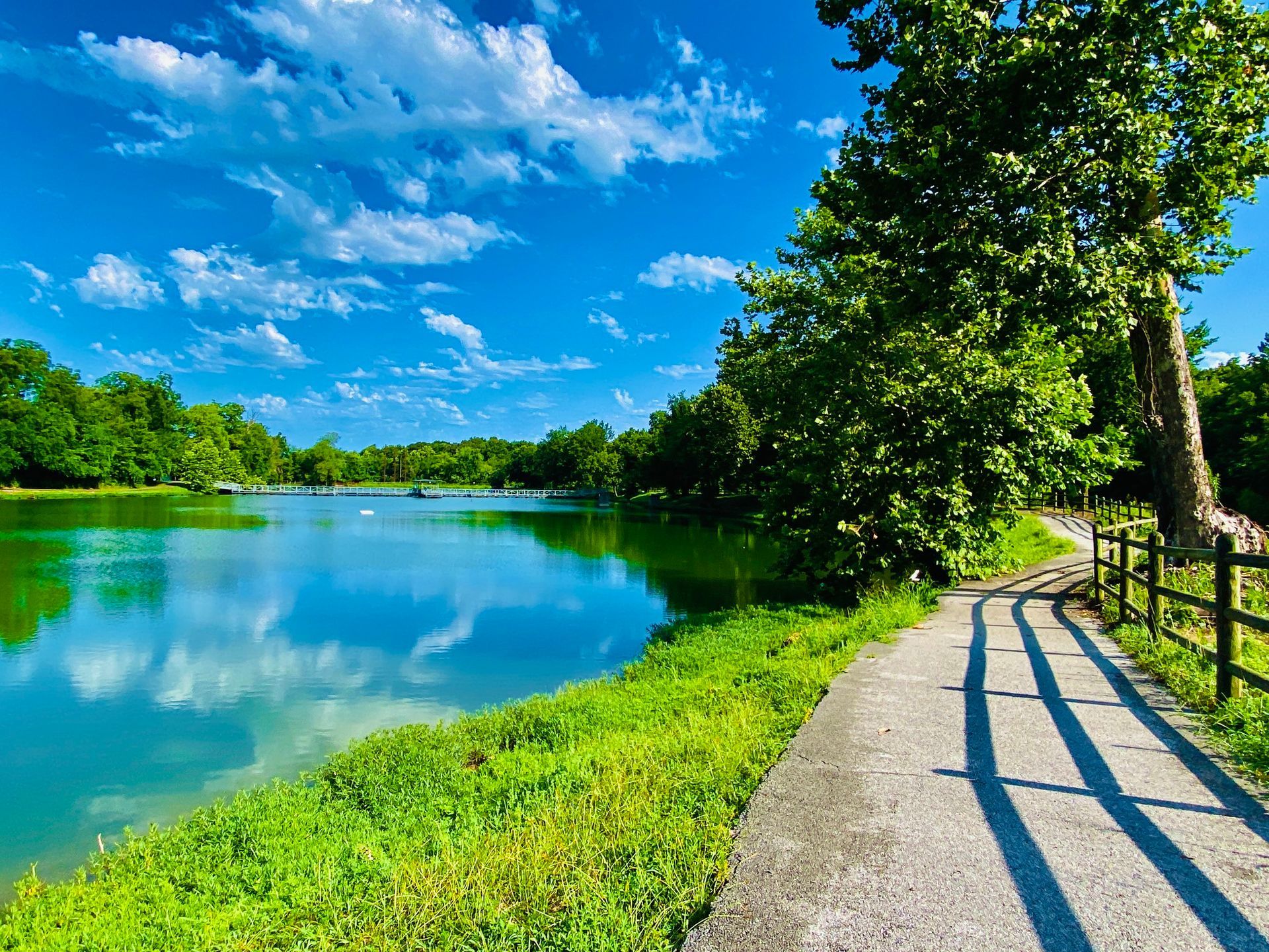 A path leading to a lake surrounded by trees on a sunny day.