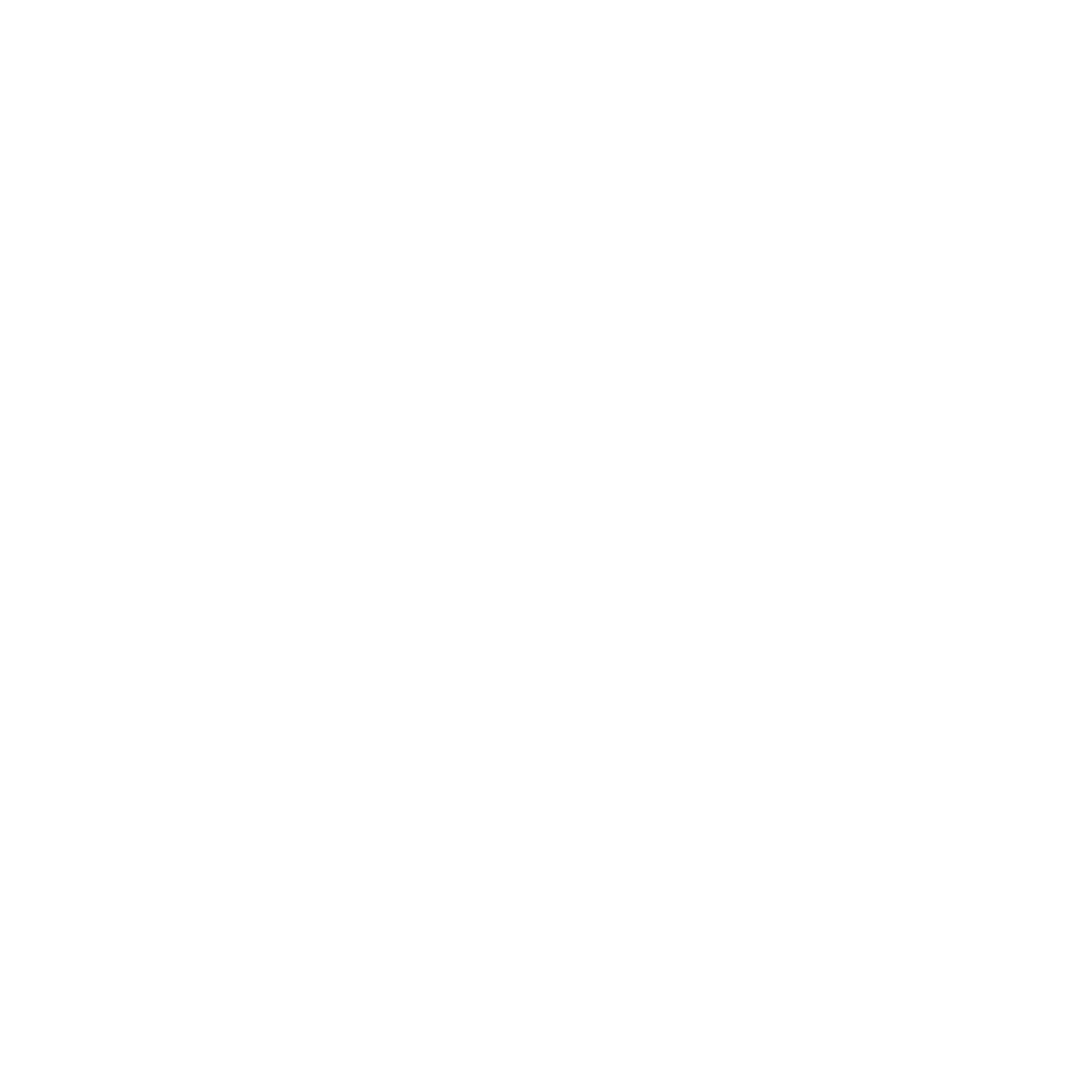 toula a team logo white