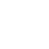 The small CrossFit Templar logo