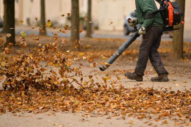 A person uses a leaf blower to clear brown, fallen leaves from a paved path in an outdoor, tree-lined setting.