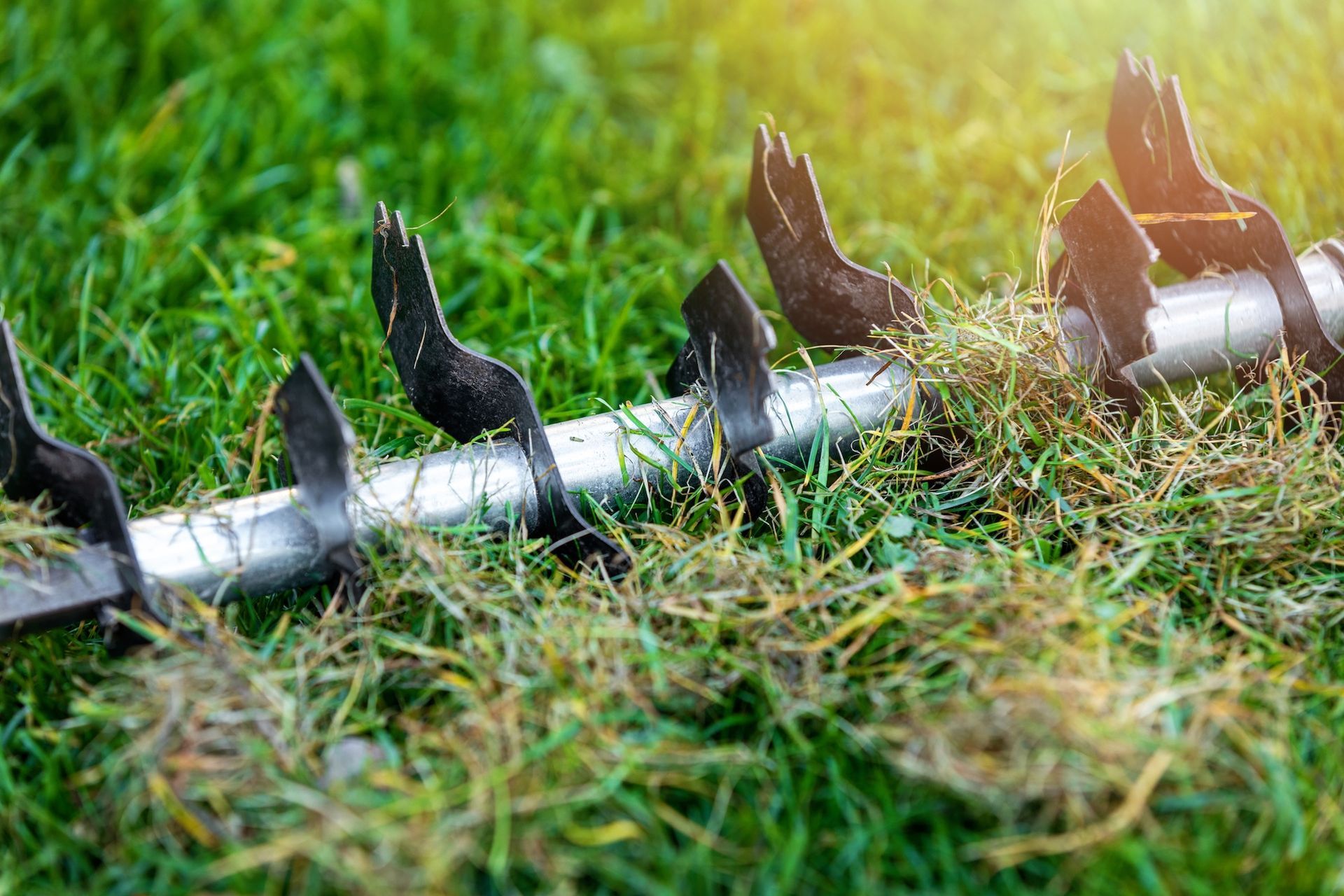 A close-up view of a metal dethatching blade attachment resting on a green lawn with pulled thatch debris.