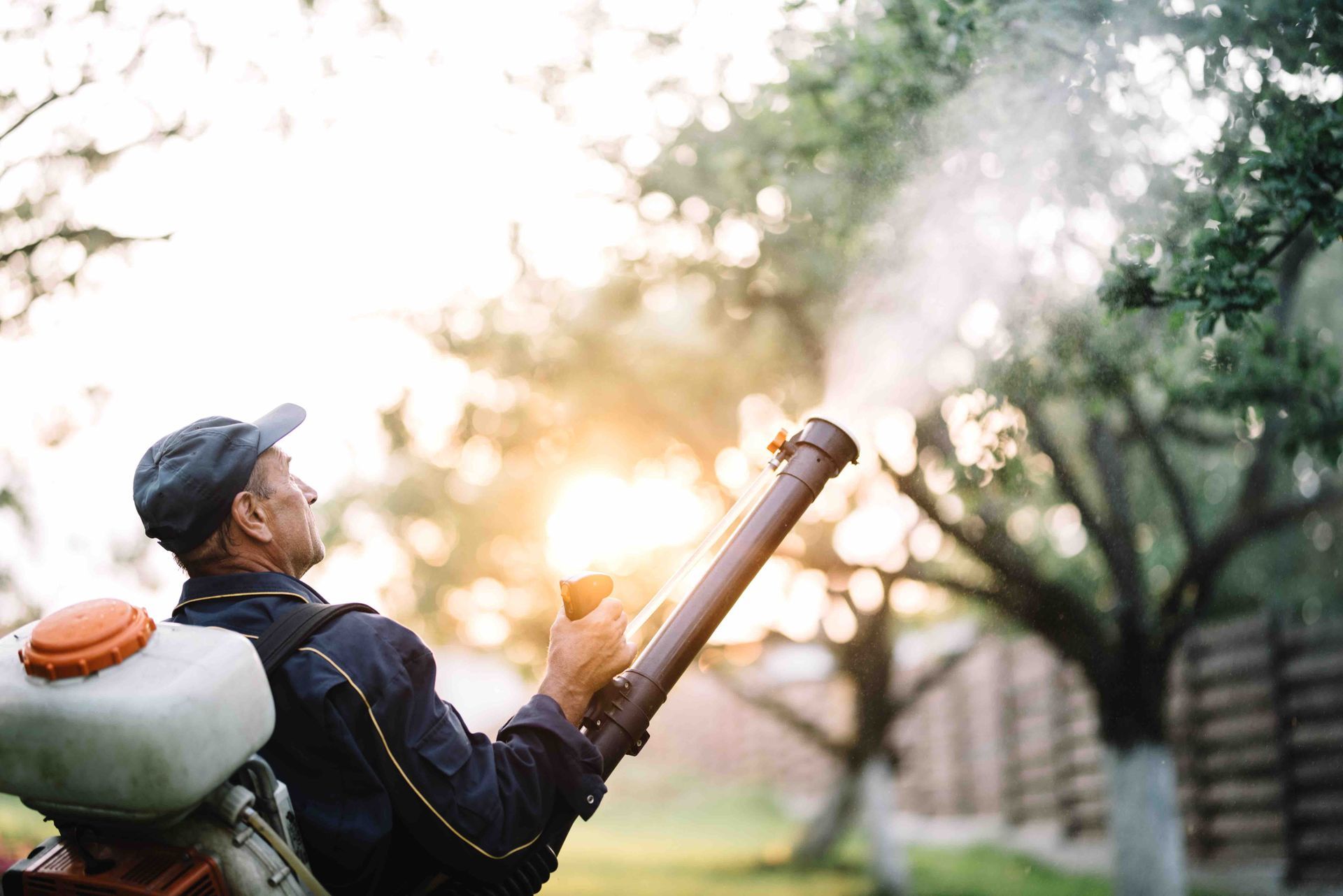 A man is spraying trees with a sprayer in a garden.