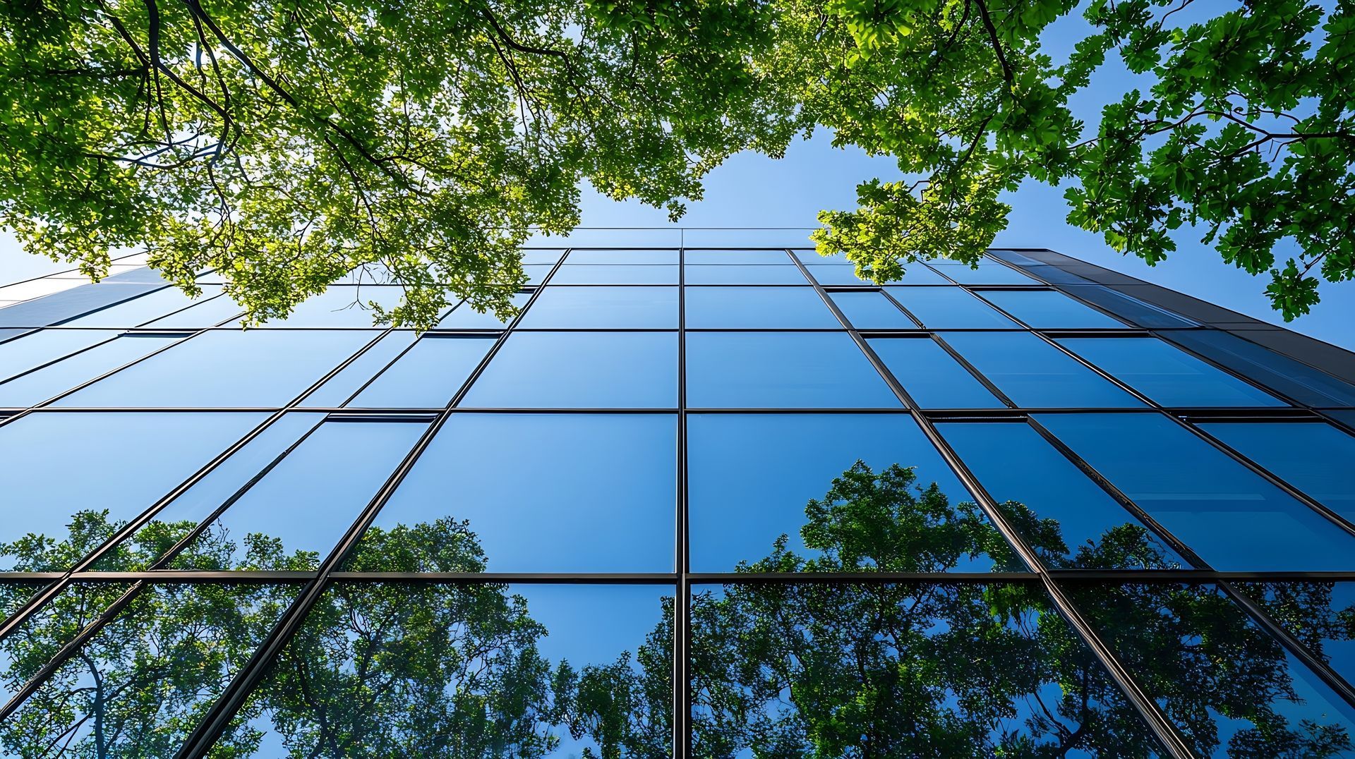 Skyscraper with reflective glass windows mirrors the sky and trees above.