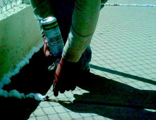 FUMIGACIONES PROFESIONALES TARAHUMARA - CONTROL-DE-PLAGAS
