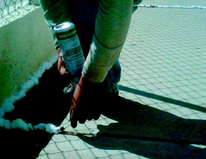 FUMIGACIONES PROFESIONALES TARAHUMARA - CONTROL-DE-PLAGAS
