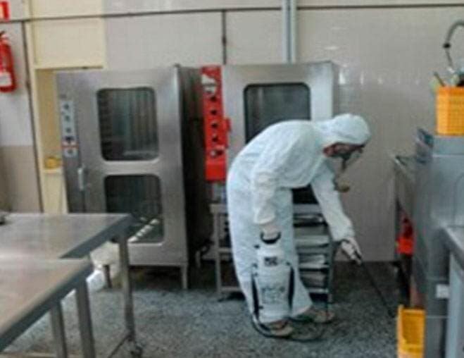 FUMIGACIONES PROFESIONALES TARAHUMARA - DESINFECCION