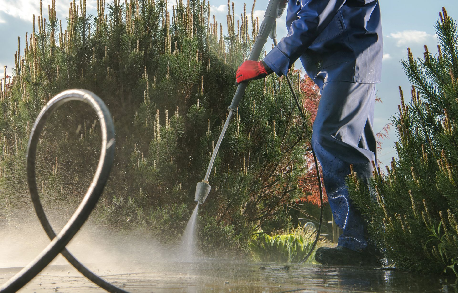 Driveway Washing in Biloxi, MS