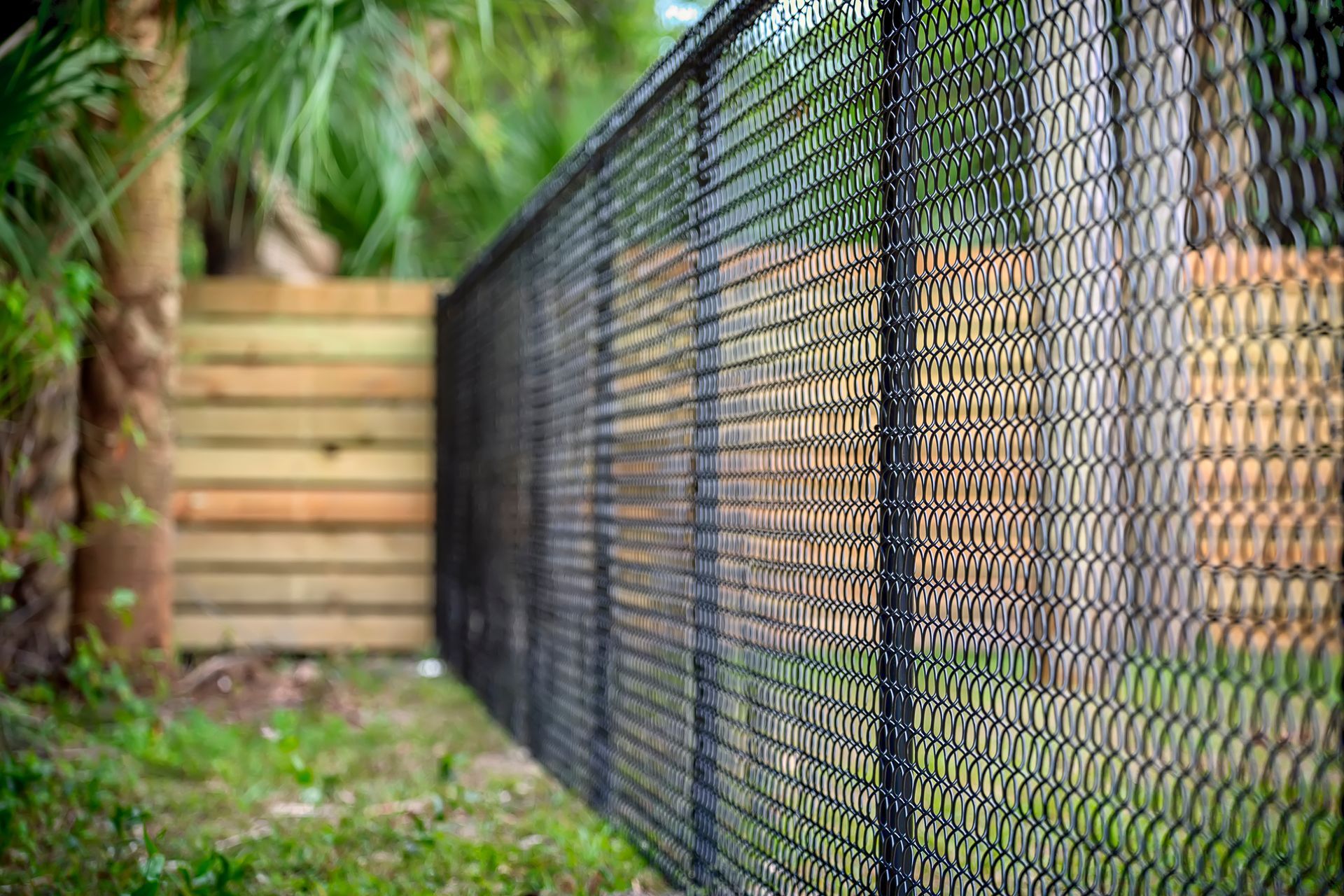 Close-up of a sturdy black chain-link fence creating a protective boundary.