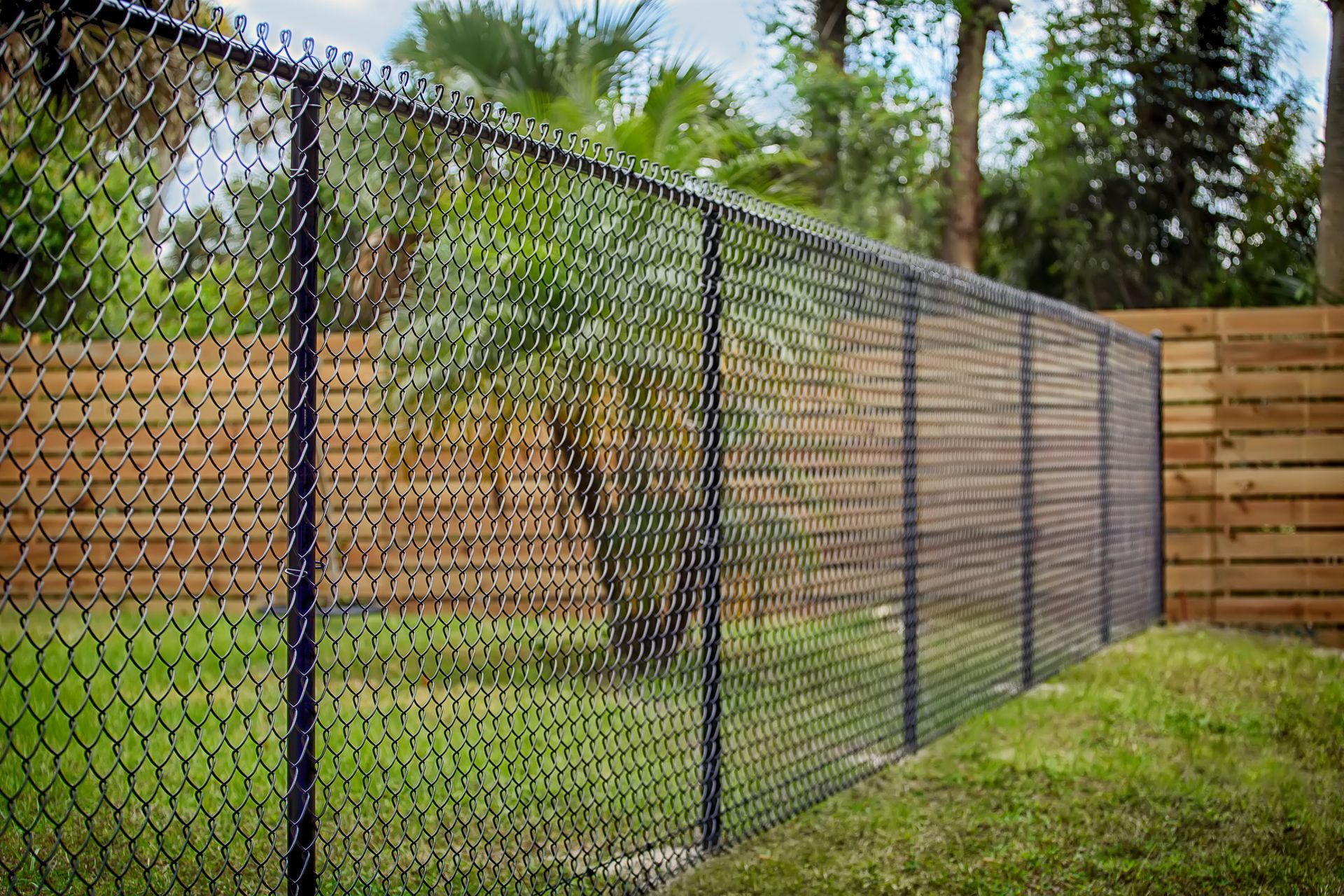 Minimalist black chain link fence enclosing a yard with a backdrop of lush green trees.