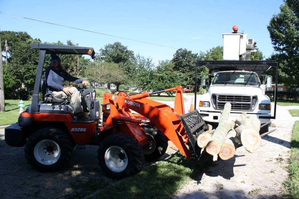 Carrying Tree Branches — Sorrento, FL — Windsor & Son Tree Service