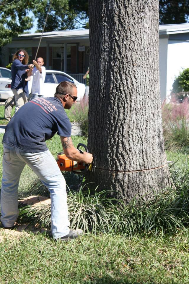 Tree Removal — Sorrento, FL — Windsor & Son Tree Service